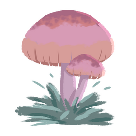 samples
